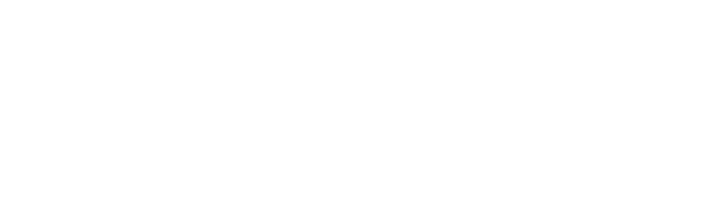 Viet Nam Travel & Food Explorer